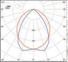  ������ ���� �����